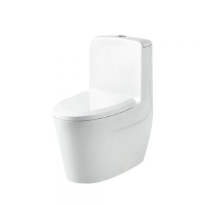 Bồn cầu K1-5861
