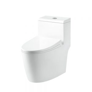Bồn cầu K1-5866