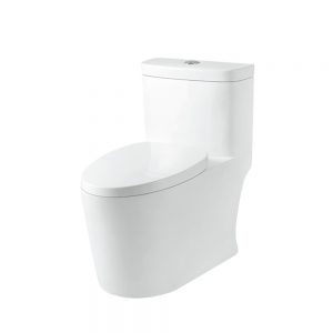 Bồn cầu K1-5880