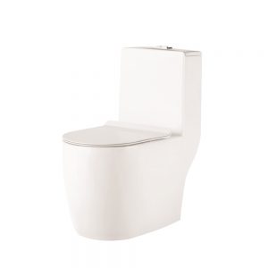 Bồn cầu K1-5895